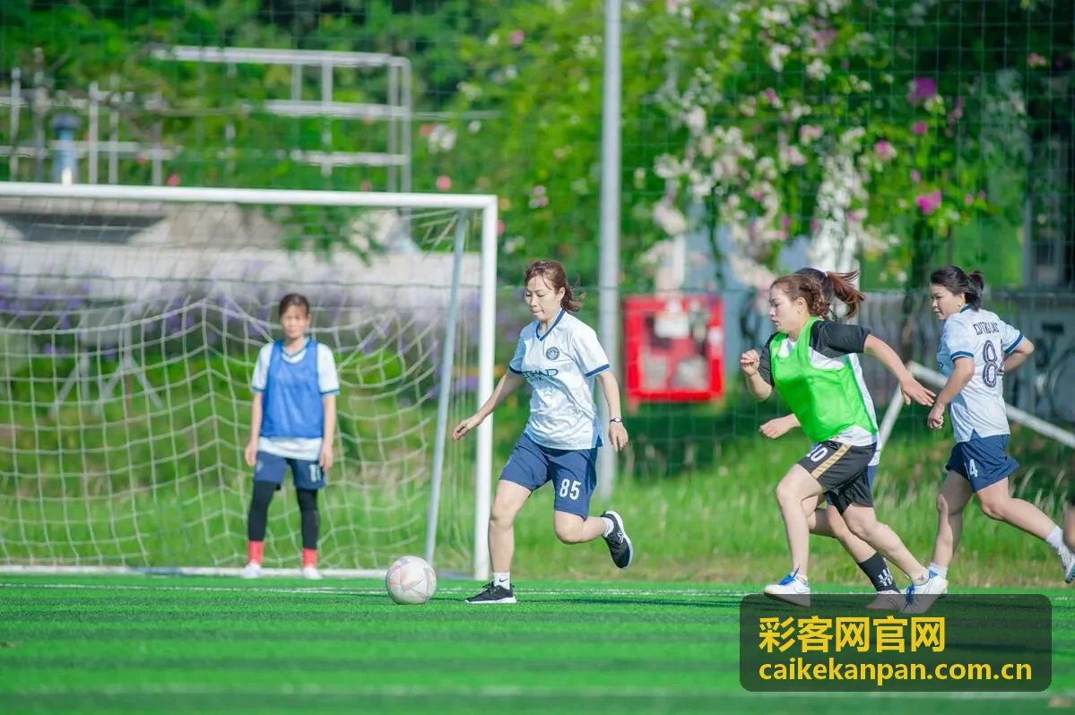 历史交锋数据参考_彩客网官网